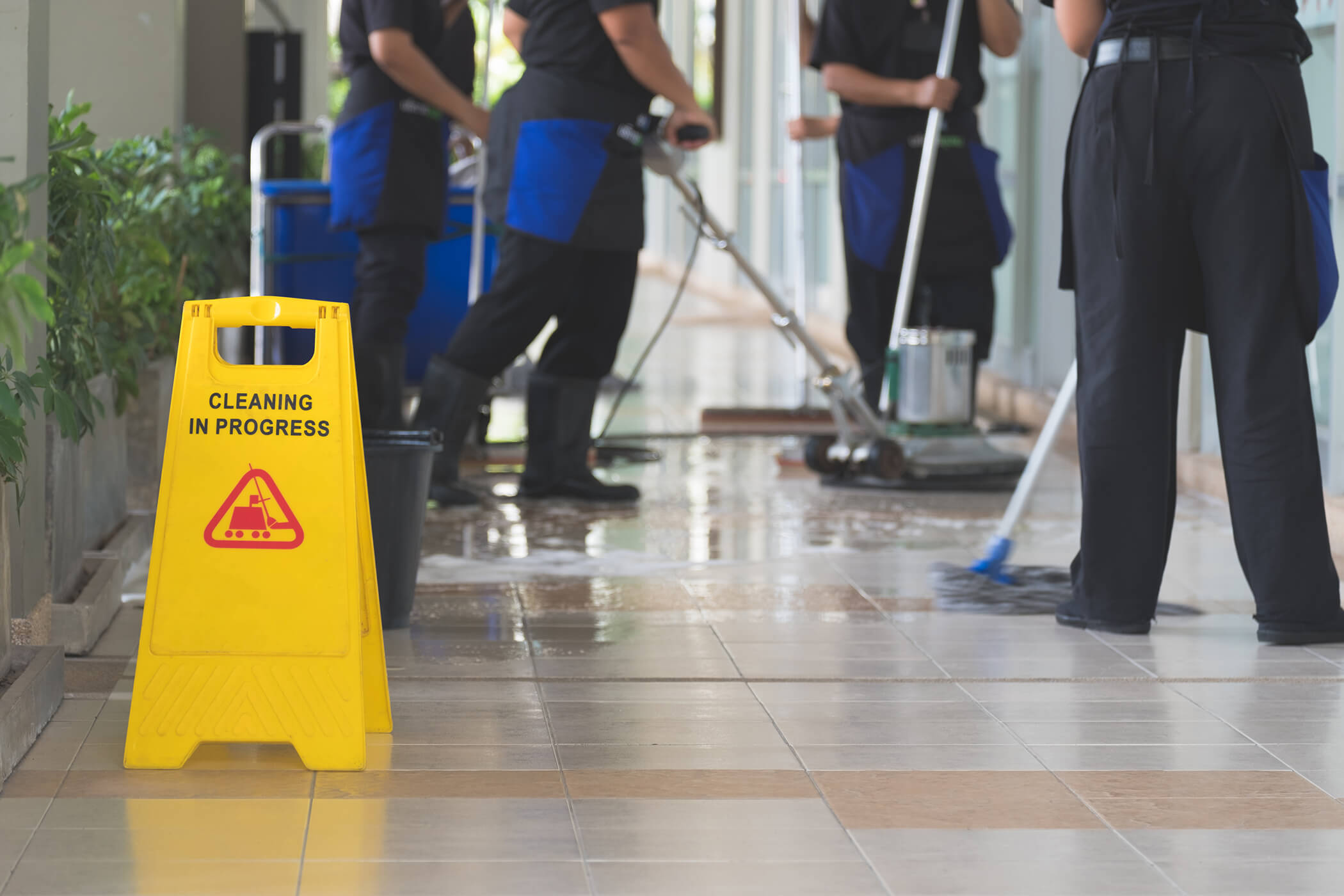 cleaning schoonmaak springmount polishing alecs qualifications janitorial integral fasax regresa sfj