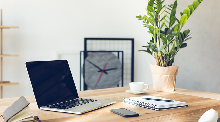 desk with plant