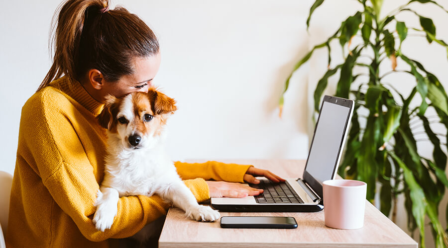 Woman and dog at a desk