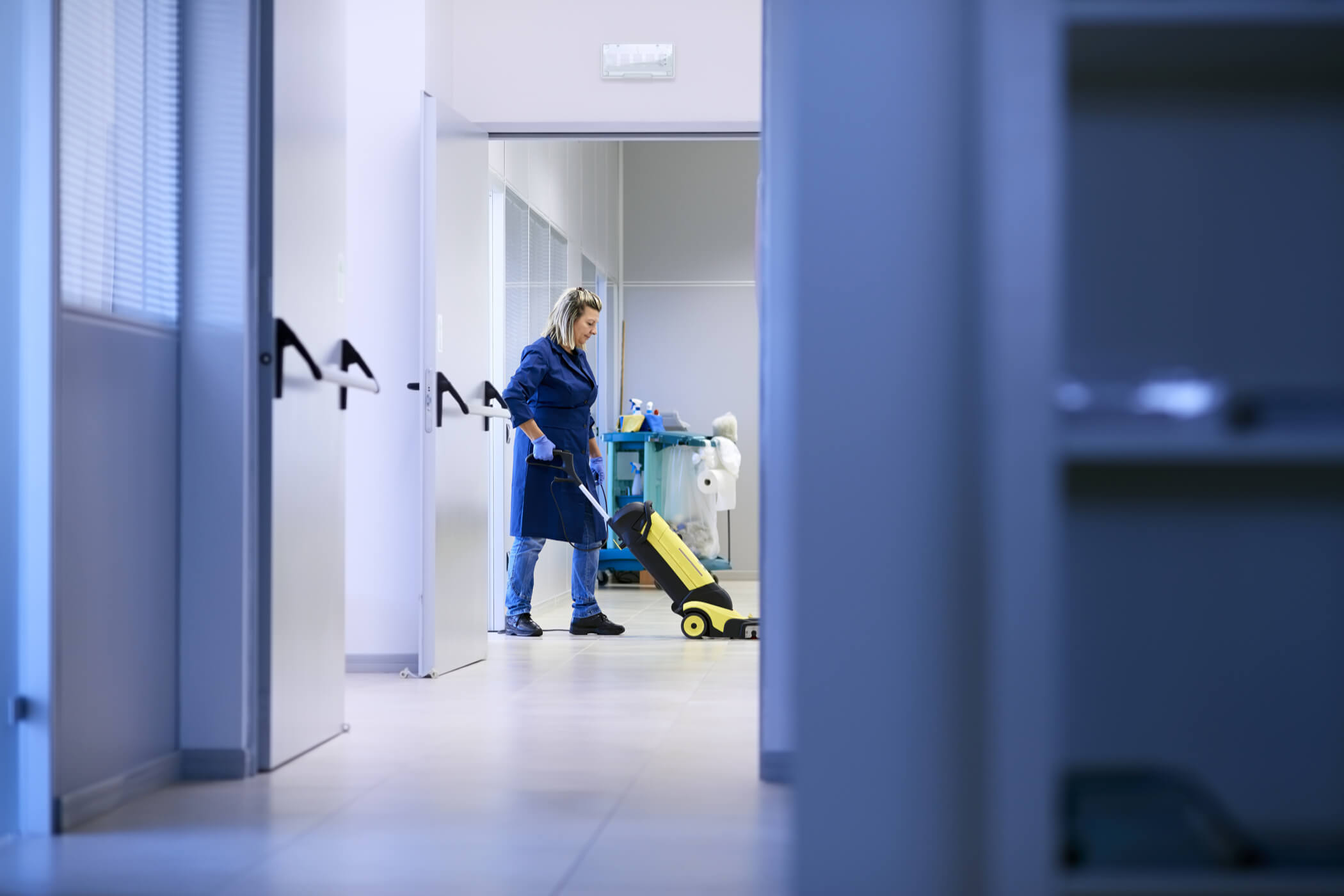 woman working professional maid cleaning