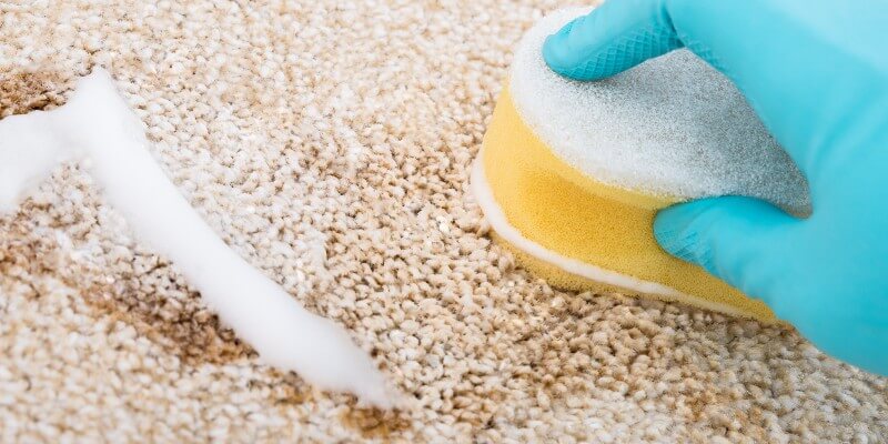 Cleaning Coffee On Carpet