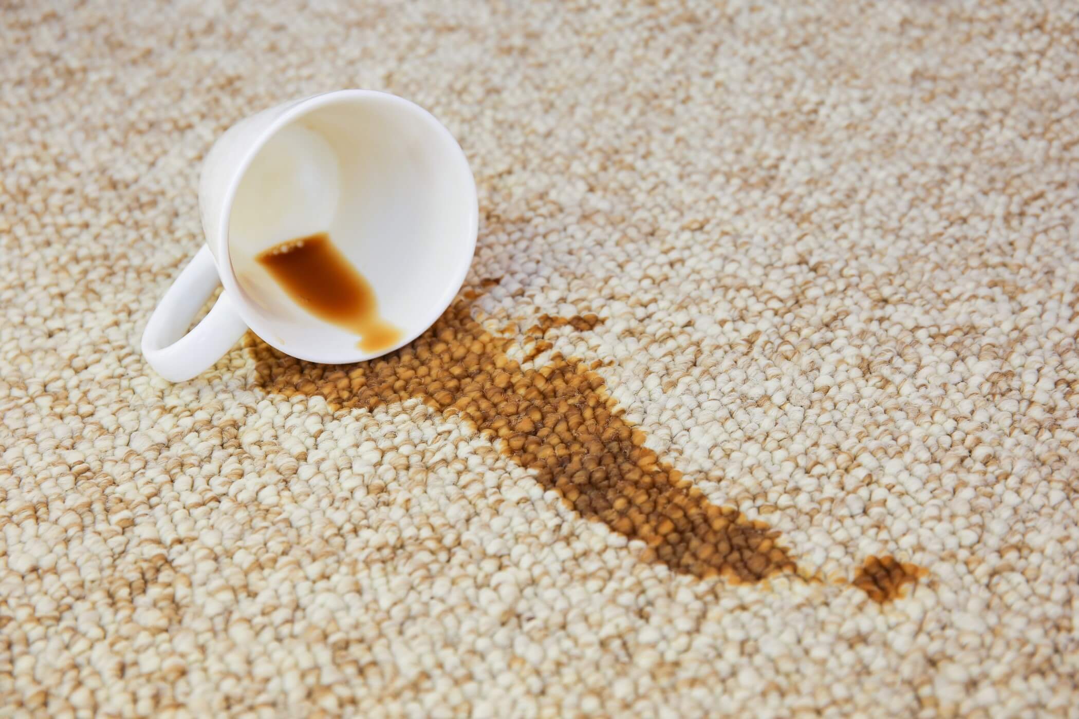 A Complete Guide On How To Get Coffee Out Of Carpet
